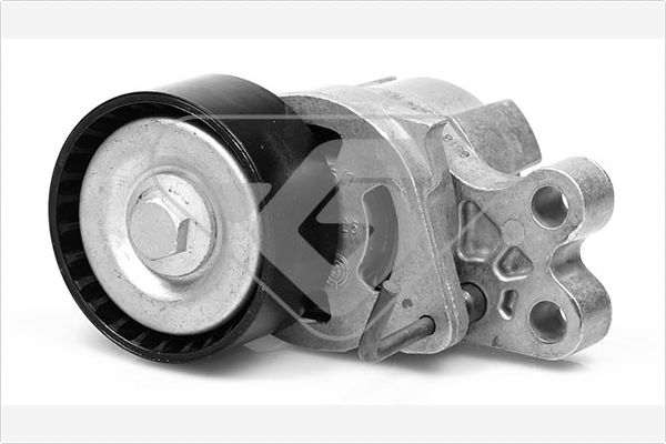 Натяжной ролик поликлиновой ремень HUTCHINSON T0071
