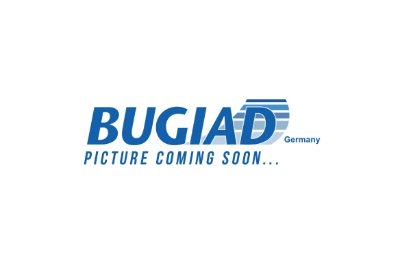 Поворотный кулак подвеска колеса BUGIAD BSP25599