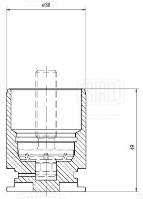 Поршень корпус скобы тормоза TRIALLI RCF 550123P