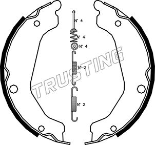 Колодки барабанные с установочным комплектом TRUSTING 046219k