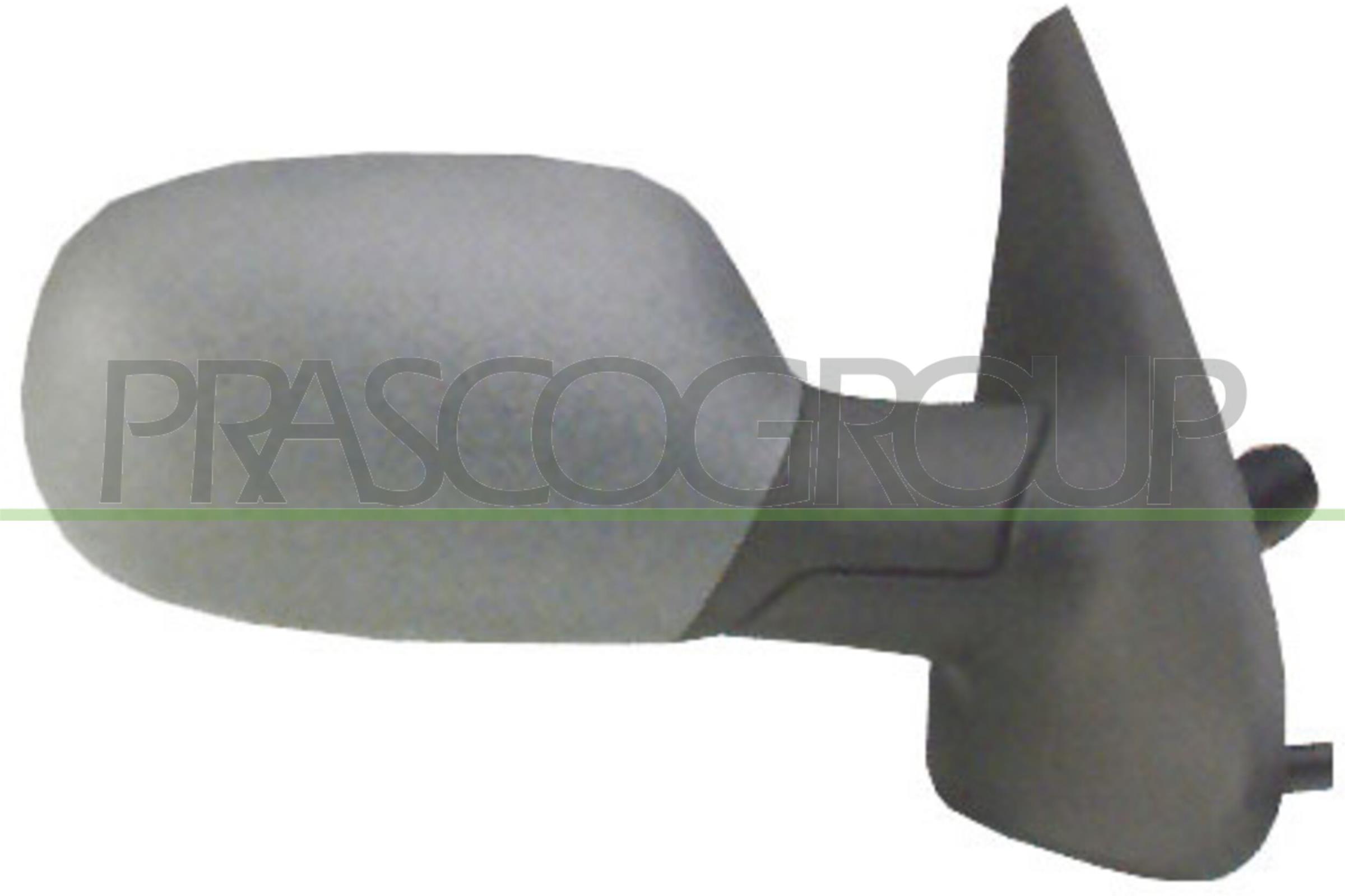 Наружное зеркало PRASCO RN0277133