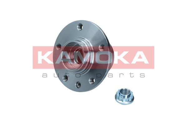 Комплект подшипника ступицы колеса KAMOKA 5500141
