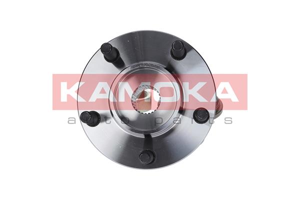Комплект подшипника ступицы колеса KAMOKA 5500056