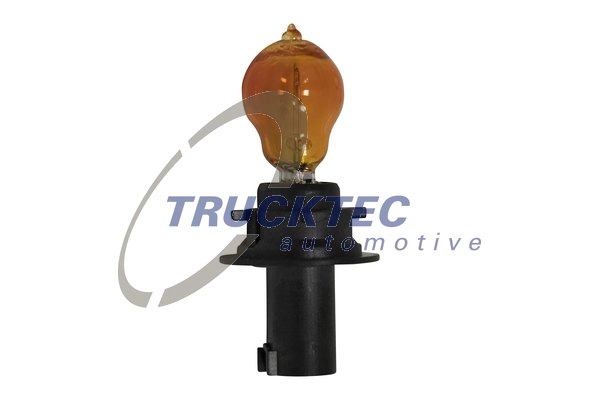 Лампа мигающие / габаритные огни TRUCKTEC AUTOMOTIVE 02.58.447