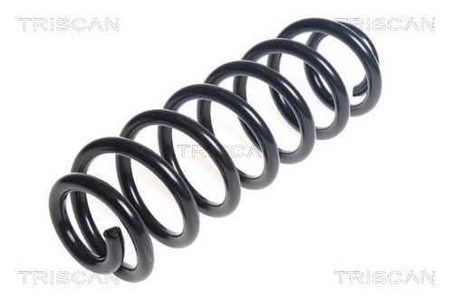 Пружина ходовой части TRISCAN 8750 29391