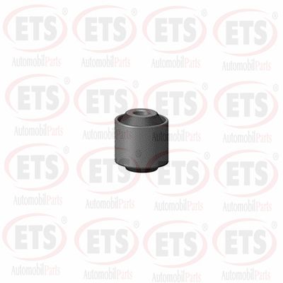 Подвеска рычаг независимой подвески колеса ETS 03.SB.611