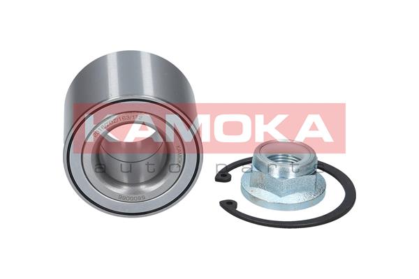 Комплект подшипника ступицы колеса KAMOKA 5600066
