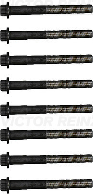 Комплект болтов головки цилидра VICTOR REINZ 14-55099-01