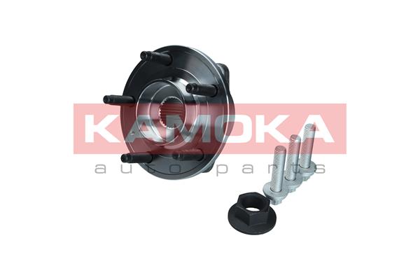 Комплект подшипника ступицы колеса KAMOKA 5500199