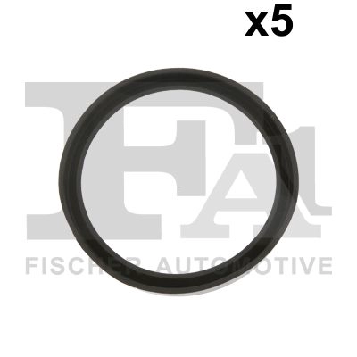 Уплотнительное кольцо компрессор FA1 076.531.005