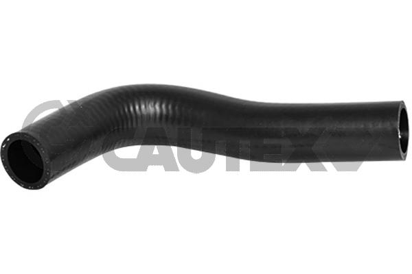 Шланг радиатора CAUTEX 066564