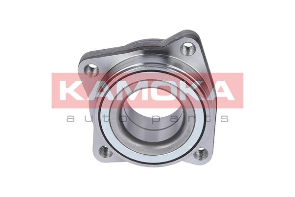 Комплект подшипника ступицы колеса KAMOKA 5500051