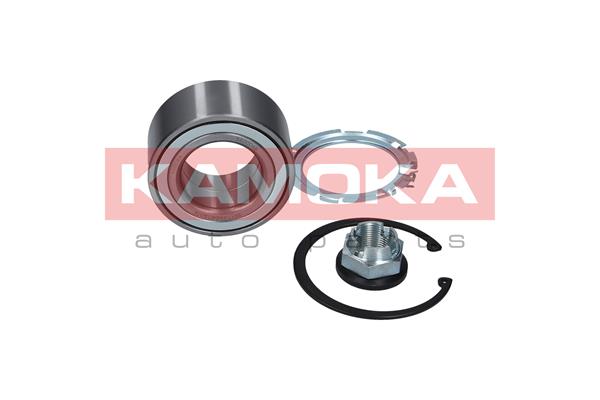 Комплект подшипника ступицы колеса KAMOKA 5600049