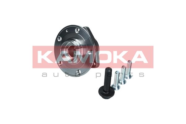 Комплект подшипника ступицы колеса KAMOKA 5500171