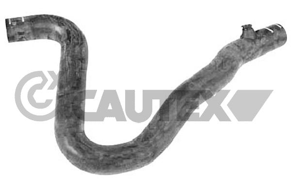 Шланг радиатора CAUTEX 036697