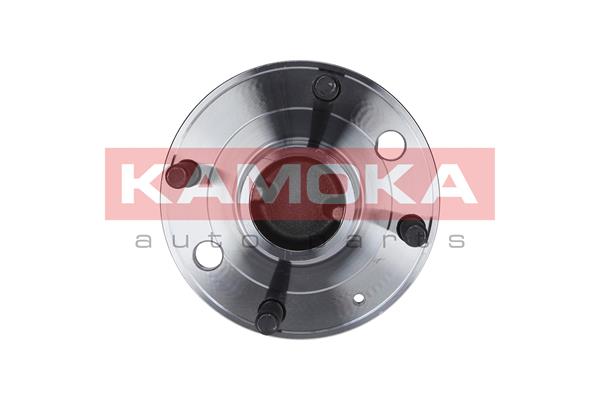 Комплект подшипника ступицы колеса KAMOKA 5500088