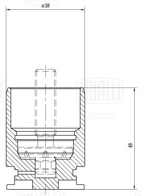 Поршень корпус скобы тормоза TRIALLI RCF 105068