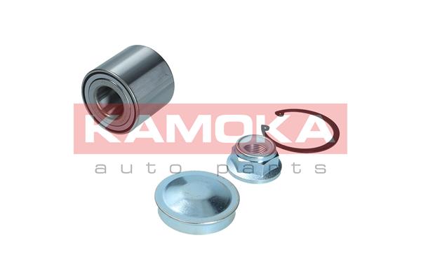 Комплект подшипника ступицы колеса KAMOKA 5600216