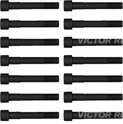 Комплект болтов головки цилидра VICTOR REINZ 14-55065-01