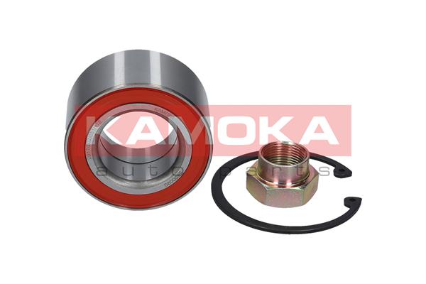 Комплект подшипника ступицы колеса KAMOKA 5600020