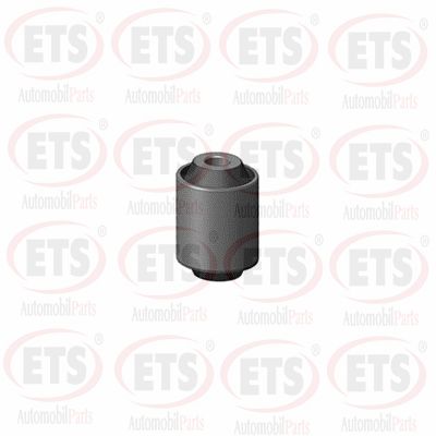 Подвеска рычаг независимой подвески колеса ETS 03.SB.609