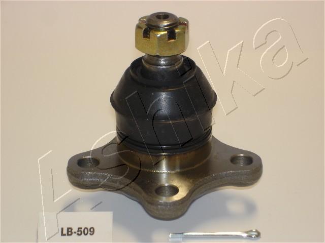 Шарнир независимой подвески / поворотного рычага ASHIKA 53-05-509