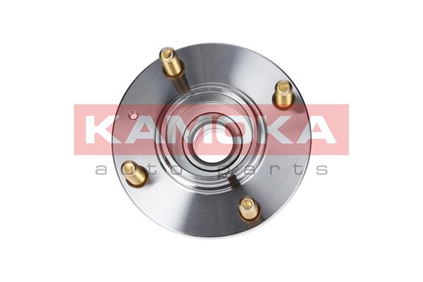 Комплект подшипника ступицы колеса KAMOKA 5500011