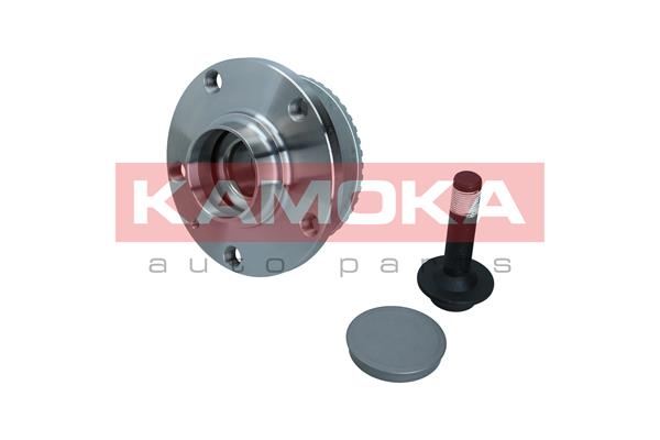 Комплект подшипника ступицы колеса KAMOKA 5500044