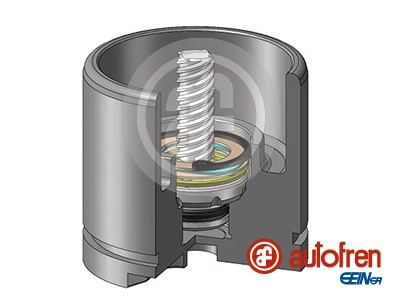 Поршень корпус скобы тормоза SEINSA D025256RK