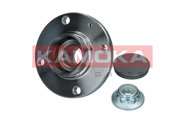 Комплект подшипника ступицы колеса KAMOKA 5500025