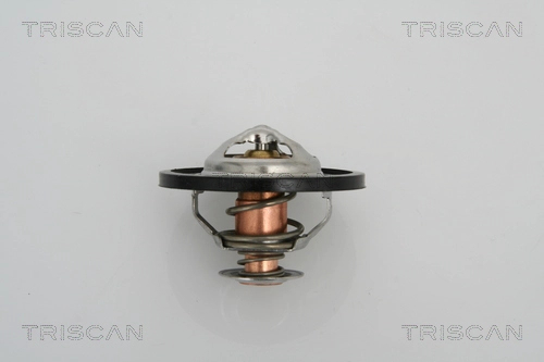 Термостат охлаждающая жидкость TRISCAN 8620 13591