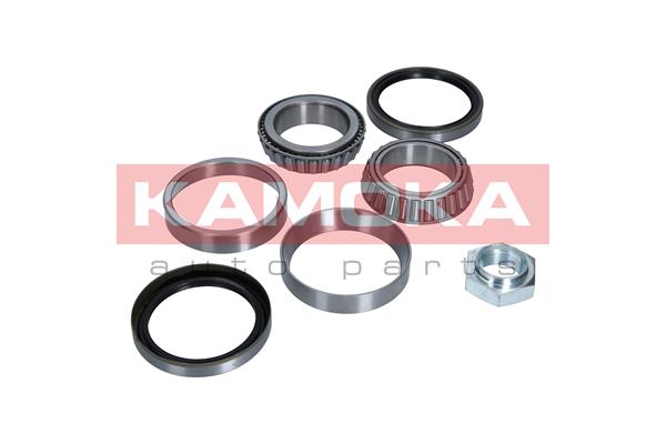 Комплект подшипника ступицы колеса KAMOKA 5600083