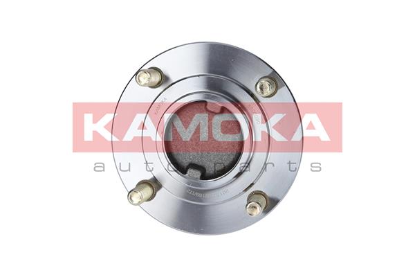 Комплект подшипника ступицы колеса KAMOKA 5500090