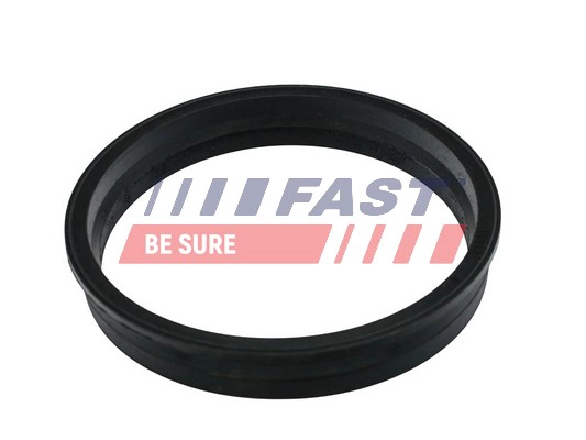 Прокладка датчик уровня топлива FAST FT48505