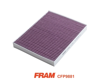 Фильтр воздух во внутренном пространстве FRAM CFP9881