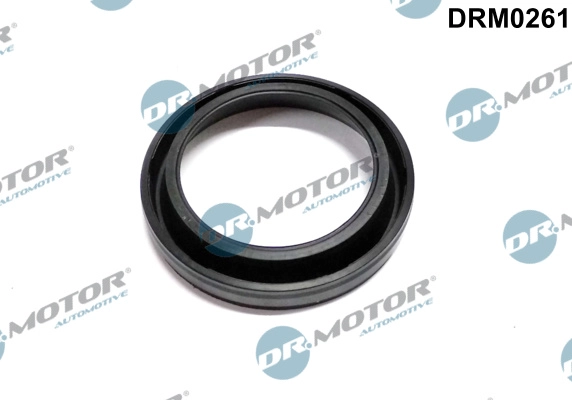 Прокладка корпус форсунки DR.MOTOR AUTOMOTIVE DRM0261