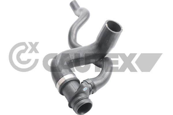 Шланг радиатора CAUTEX 765493