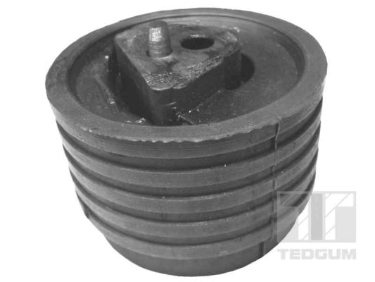Подвеска двигатель TEDGUM 00614322