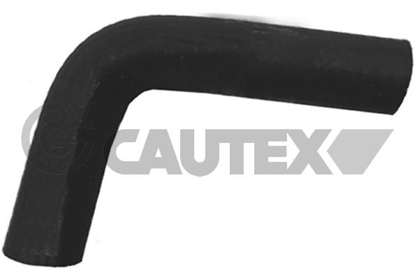 Шланг радиатора CAUTEX 026813