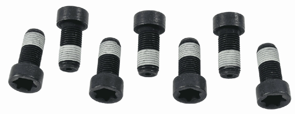 Комплект болтов маховик SACHS 1874 000 043