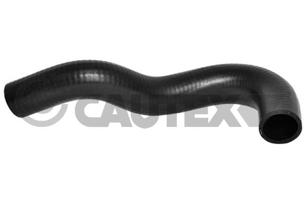 Шланг радиатора CAUTEX 754184