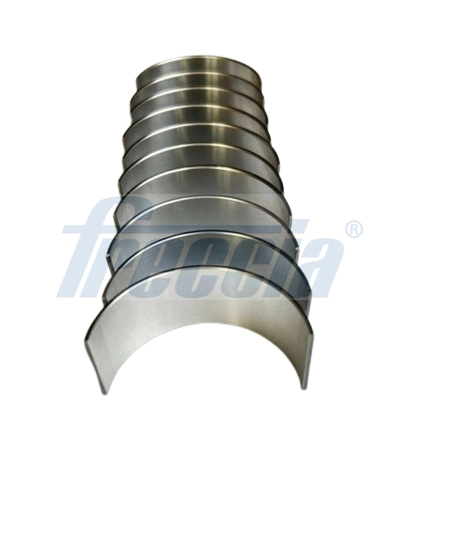 Комплект вкладышей FRECCIA CR19-100700