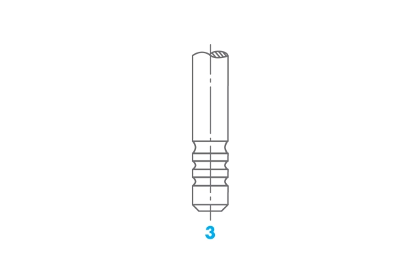 Клапан OSVAT 1919