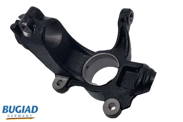 Кулак поворотный BUGIAD BSP25309