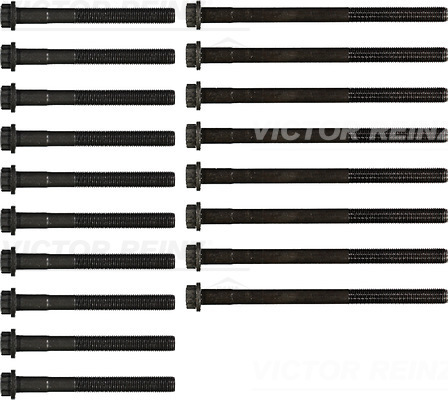 Комплект болтов головки блока цилиндров VICTOR REINZ 14-55034-01
