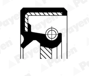 Сальник PAYEN NJ484