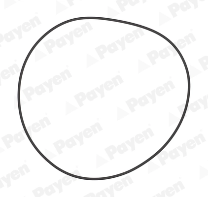 Комплект уплотнительных колец PAYEN PA708
