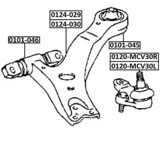 0120-mcv30r 4333029615 lexus rx330 2003.4 опора шаровая передняя нижняя правая ASVA 0120-MCV30R
