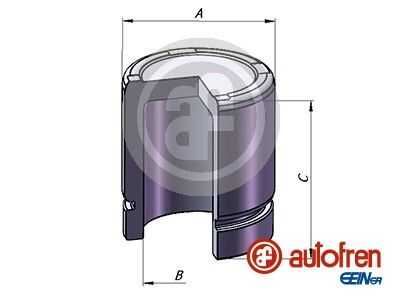 Поршень тормозного суппорта задн. SEINSA D025357