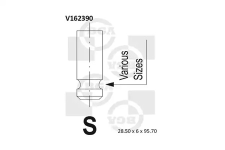 Впускной клапан BGA V162390